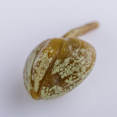 Pickled capers on a white acrylic background