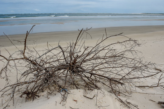 Beach of the island in front of Atins, Brazil