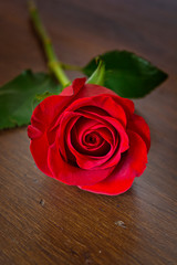 red rose with green leaves on dark wooden table