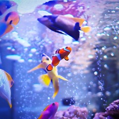 見上げてみました！