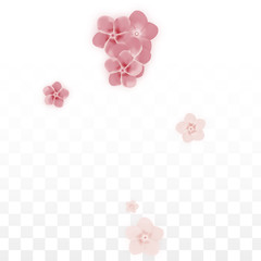 Fototapeta na wymiar Vector Realistic Pink Flowers Falling on Transparent Background. Spring Romantic Flowers Illustration. Flying Petals. Sakura Spa Design. Blossom Confetti. Design Elements for Wedding Decoration.