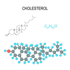 Cholesterol. Chemical structural formula and model of molecule. C27H46O.