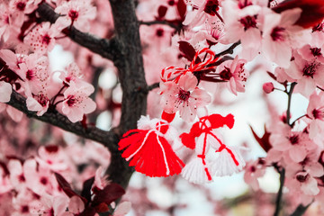 Bulgarian traditional spring decor martenitsa on the cherry blossom tree background. Baba Marta holiday.