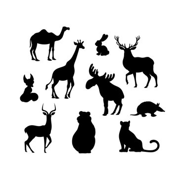 Vector illustration, set of cartoon animal s silhouettes. Camel, fox, jaguar, elk, bear armadillo hare deer impala giraffe