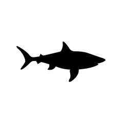 Shark icon, logo isolated on white