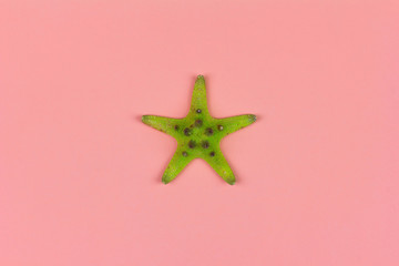 green starfish on pink background close-up, top view flat lay
