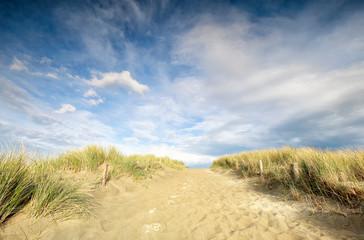 sand path on dune from beach and blue sky