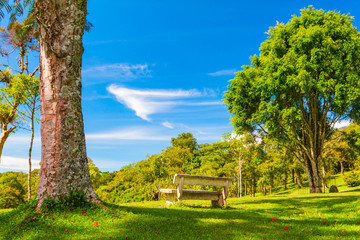 Fototapeta na wymiar Bali Botanic Garden in Indonesia