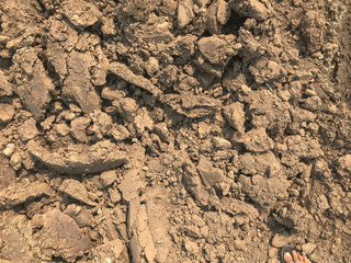 pile of cracked dry dirt in construction site