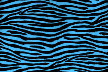 Blue zebra fur background texture
