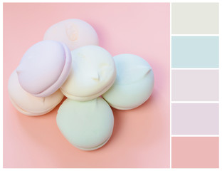 Marshmallows color swatch. Pastel color palette. Light pink and mint colours.