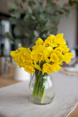 a bouquet of fresh yellow narcissuses on a table