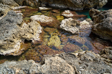 Rocks and sea background