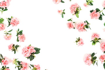 Flowers composition background . Pink flowers azalea pattern on white background. Top view. Copy space. Holiday concept