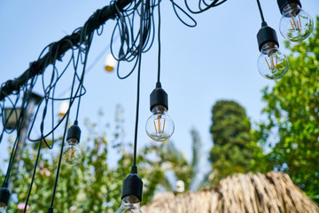 beautiful decorative bulbs