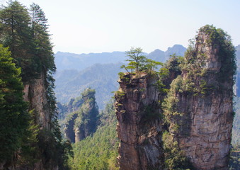 Zhangjiajie National Park,Hunan province. China. Avatar mountains
