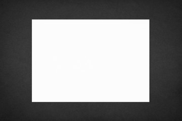 Paper texture background