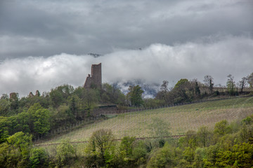Fototapeta premium Die Alpen