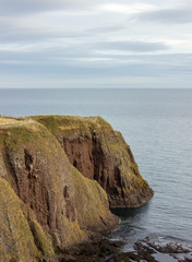 Scottish Cliffs