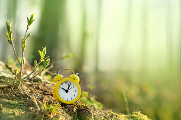clock alarm in green nature forest. concept make time for nature, environment. Daylight savings time. hello spring season. Soft focus, blur green background. copy space
