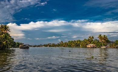 Fototapeta na wymiar Backwater view with blue sky and palm tree