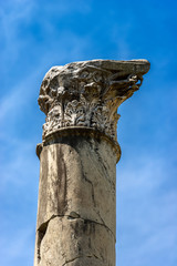 Column with capital in Corinthian style - Ostia Antica Rome