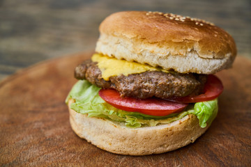 Delicious Homemade Cheeseburger