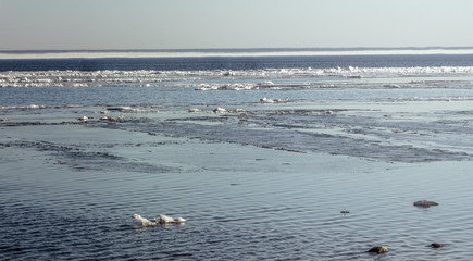 Snow pile, hill. Large snow drift isolated on a blue sky background,  outdoor view of ice blocks at frozen finland lake in winter