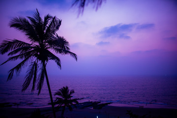 Obraz premium Pink and blue sunset at the beach with coconut tree on a hill.