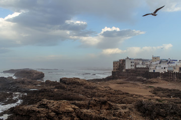Seaside view of Essaouira in Morocco on the Coast of Atlantic Ocean