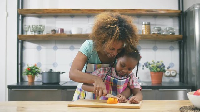 Portrait of Afro American mother and little daughter in aprons