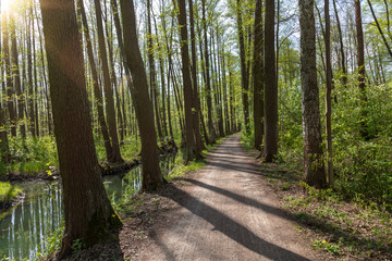 Gurkenradweg im Spreewald in der Nähe Lübbenau