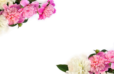Frame of pink and white peonies on a white background with space for text. Top view, flat lay