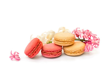 Colorful macarons cookie, white and pink flowers hyacinth on white background