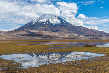 Parinacota volcano and Chungara lake, Lauca National Park, Chile