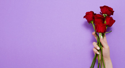 Roses on red background isolated. Top view and mock up. Mother and valentine day. Women holidays . Wallpaper and romantic concept. Flower rose bouquet . Flowers birthday gift. Banner