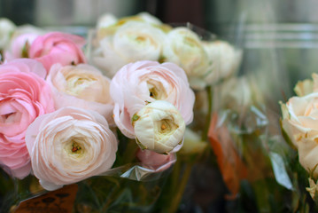 Beautiful flower bouquet with cream white and light pink Buttercup Ranunculus flowers in full bloom