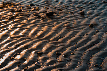 Golden wavy sand. the sand glitters in the sun after the ebb of the sea. sun glare on the shore