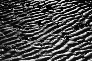 wavy sand after the ebb of the sea. Black and white image