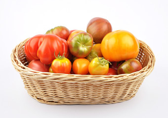 Erntekorb mit Tomaten auf weiss