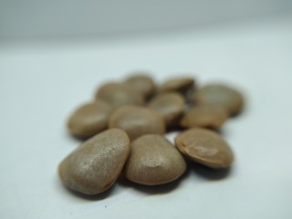 Black masoor dal , kaali dal , Urad dal