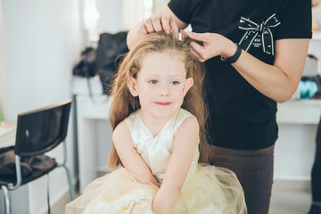 Hairdresser weaving plaits in beauty salon. Hairdressing services. Сreating  hairstyle. Hair...