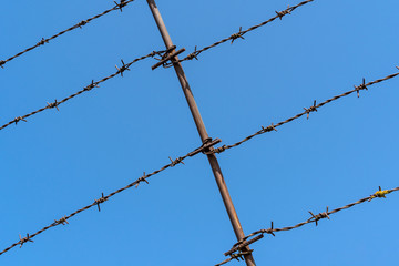 Barbed wire Fence