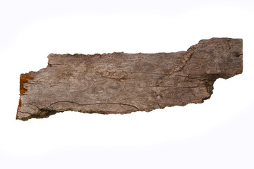 tree bark isolated on white background