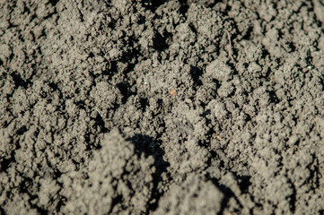 Soil