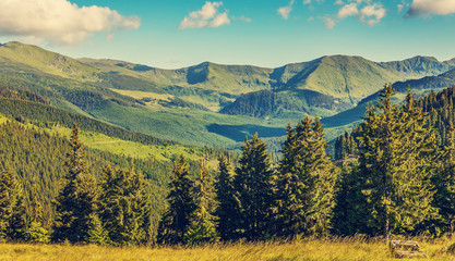 Wonderful mountain landscape. Amazing synny highland with perfect sky. Carpatian Pomania.