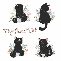 My sweet black cat