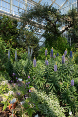 Berlin Botanical Garden