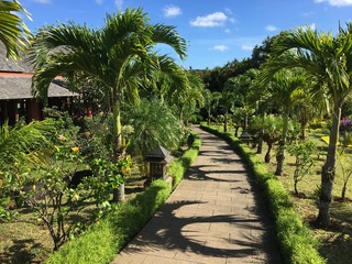 Obraz premium Ile Maurice Verdoyant