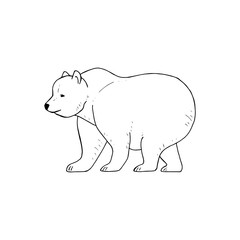 Bear coloring page, cute childish coloring of a big bear, sketch of a bear, black and white illustration isolated on white background for your design